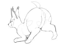 anus ass black_and_white butt_focus carachaos digital_drawing_(artwork) digital_media_(artwork) dodudoru fakémon felid female feral fur genitals hi_res looking_back mammal markings monochrome presenting presenting_hindquarters pussy raised_tail simple_background solo thick_thighs tongue tongue_out video_games wide_hips