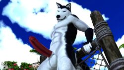 3d beach blender dick furaffinity husky looking_at_viewer male_only mrmuskyhusky mrmuskyhusky_(character) naked summer