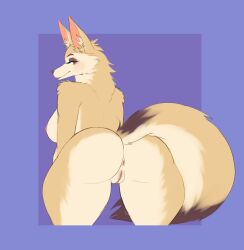 absurd_res anthro anus ass big_butt blush breasts canid canine female fennec fox fur furry furry_only genitals hi_res looking_at_viewer looking_back looking_back_at_viewer mammal multicolored_body multicolored_fur naked nude presenting presenting_anus presenting_hindquarters presenting_pussy purple_background pussy rear_view sanfingulipunrapin simple_background solo tail thick_thighs wide_hips