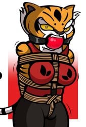 angry ball_gag bondage furry gag kung_fu_panda master_tigress rope_bondage tiger zalder-sm