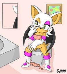 3pac anthro bat boots clothes color female female_only front_view fur furry gloves indoors rouge_the_bat sitting solo sonic_(series) tagme toilet vulva wings