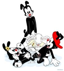 animaniacs clothing cum dot_warner female flower incest male male/ambiguous stefanescu wakko_warner yakko_warner