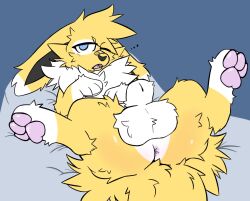 animal_genitalia ass balls balls_focus bandage_on_face big_balls bodily_fluids butt_focus drooling eeveelution feral floppy_ears fluffy fluffy_balls gatotush generation_1_pokemon genitals haku_(pamiko) hi_res jolteon lying male nintendo on_back paws pokemon pokemon_(species) saliva sheath solo spread_legs spreading tired