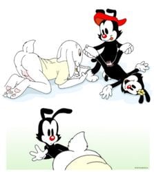 animaniacs anthro clothing dot_warner female flower fur incest male stefanescu straight unknown_species wakko_warner yakko_warner