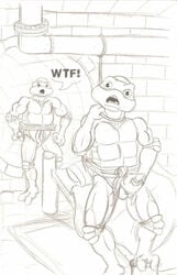 anthro cutterfl male male_only michelangelo raphael tagme teenage_mutant_ninja_turtles