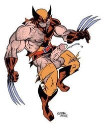 Wolverine (X-Men) Rule 34 Image