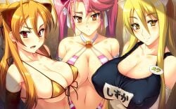 3girls animal_ears bare_shoulders bikini bikini_top blonde_hair blush breasts brown_eyes brown_hair cat_ears cleavage elbow_gloves erect_nipples female female_only front-tie_top glasses gloves hi_res highres highschool_of_the_dead huge_breasts long_hair micro_bikini multiple_girls navel nipples no_nude one-piece_swimsuit pink_hair red_eyes rei_miyamoto saya_takagi school_swimsuit shizuka_marikawa smile swimsuit tied_hair twintails very_high_resolution widescreen yellow_eyes yn_red