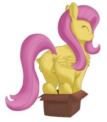 anatomically_correct anatomically_correct_anus anatomically_correct_genitalia anatomically_correct_pussy animal_genitalia animal_pussy anus ass box callichrome cardboard cardboard_box casual_nudity container equid equine equine_pussy female feral fluttershy_(mlp) folded_wings friendship_is_magic fur genitals happy hasbro hi_res horse mammal my_little_pony pegasus pony puffy_anus pussy rear_view smile solo wings