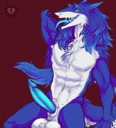 1boy 2021 anthro balls blue_penis colored erection fur genitals hair hi_res looking_at_viewer male male_only mammal muscular muscular_anthro muscular_male penis ruttingstrap sergal solo standing tongue tongue_out