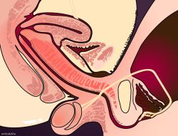 anatomy cervix_kiss cross_section mother_and_son no_condom tagme uncensored vaginal_penetration x-ray