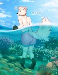 1boy absurd_res anthro ass blush canid canine canis clothing collar crinklemouse dialogue digital_media_(artwork) domestic_dog feces fur hair hi_res humiliation male male_only mammal messing messy scat sea shirtless shirtless_male shocked soiling solo solo_male surprise swimwear water