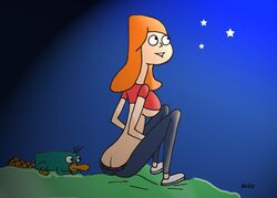 candace_flynn disney female fur helix human male mammal monotreme perry_the_platypus phineas_and_ferb platypus tagme