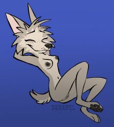 anthro areola big_ears blue_background breasts canid canine canis closed_eyes female fur genitals grey_body grey_fur humanoid_genitalia lying mammal navel nipples nude pawpads pussy serareldeer simple_background slim small_waist smile solo tail wolf