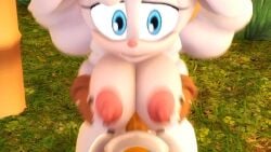 3d adult_on_cub animated ass ball_slap balls balls_deep big_dom_small_sub boobjob classic_tails countersfm cowgirl_position cum cum_in_pussy cum_inside female_on_top green_hill_zone lanolin_the_sheep larger_female miles_tails_prower paizuri penis sega smaller_male sonic_(series) sonic_the_hedgehog_(idw) sonic_the_hedgehog_(series) sonic_the_hedgehog_2 sound source_filmmaker tagme tails tails_the_fox titjob video young