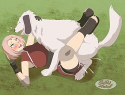 1boy 1girls ahe_gao akamaru_(naruto) bike_shorts blush canid canid_on_humanoid canine canine_on_human clothed_female clothed_sex cum cum_in_pussy cum_inside dog domestic_dog dominant_feral female female_human female_human/male_feral female_on_feral femsub feral green_eyes hetero human leg_grab leg_wrap legs_up male male/female male_canine maledom mating_press missionary_position naruto open_mouth pink_hair redradrebel sakura_haruno sex straight tongue tongue_out vaginal_penetration vaginal_sex white_fur zoophilia