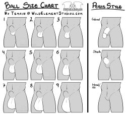 animal_genitalia anthro artist balls chart external free_to_use furry genitals internal invalid_tag monochrome nsfw penis sheath size_chart temrin text url