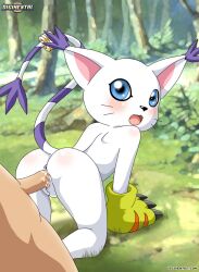 anus ass bbmbbf blush cum cum_in_pussy cum_inside digihentai digimon digiphilia female gatomon human male male/female nude open_mouth palcomix penis pussy sex tongue vaginal_penetration vaginal_sex