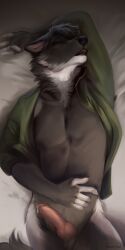 1:2 2022 5_fingers anthro black_body black_fur black_nose canid canine dannoitanart digital_media_(artwork) fingers fur genitals hi_res knot male mammal penis solo white_body white_fur