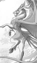 2022 animal_genitalia claws cloaca dragon fairy_dragon feet female feral genitals hi_res horn lizet membrane_(anatomy) membranous_wings monochrome nix_(lizet) nude paws scalie solo tongue wings