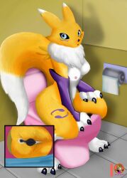 absurd_res animal_genitalia animal_humanoid animal_pussy anthro bandai_namco blue_eyes canid canid_humanoid canine canine_humanoid canine_pussy digimon digimon_(species) female fluffy fluffy_tail fox_humanoid genitals hi_res humanoid looking_at_viewer mammal mammal_humanoid moon_pearl neck_tuft nipples pussy renamon sitting solo toilet tuft