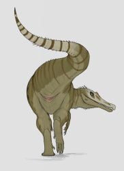 2022 animal_genitalia ass baryonyx claws cloaca dinosaur feet female feral genitals hi_res looking_back nude paws phlegraofmystery presenting presenting_cloaca presenting_hindquarters raised_tail reptile scalie solo spinosaurid theropod