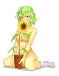 bent_knees between_legs blush breasts censored convenient_censoring covering_face female female flower flower_pot footwear green_hair kneeling large_breasts legwear naked_socks nude plant potted_plant red_eyes short_hair simple_background sitting socks solo sunflower touhou underboob wariza white_background white_legwear youkai yuka_kazami yuuji_(and)