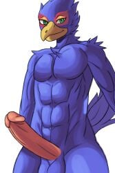 2:3 absurd_res akenju anthro avian balls beak big_penis bird erection falco_lombardi falcon falconid genitals hi_res huge_cock humanoid_genitalia humanoid_penis male nintendo nude penis smile solo star_fox video_games