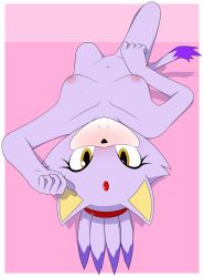 absurd_res anthro blaze_the_cat blush breasts domestic_cat felid feline felis female genitals hi_res looking_at_viewer mammal nipples nude pussy sega solo sonic_(series) sourlemonade