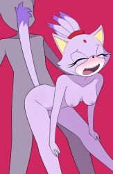 anon anthro blaze_the_cat blush breasts domestic_cat duo felid feline felis female from_behind_position hi_res male male/female mammal nipples open_mouth sega sex sonic_(series) sourlemonade