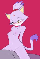 absurd_res anon anthro blaze_the_cat blush breasts domestic_cat duo felid feline felis female genitals hi_res male male/female mammal nipples penetration penis pussy sega sonic_(series) sourlemonade vaginal_penetration