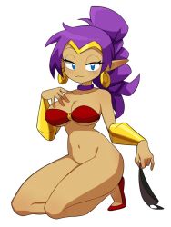 :3 blue_eyes bottomless breasts cleavage female female_focus female_only flowerpigeon73 half-closed_eyes jewelry looking_at_viewer mostly_nude navel on_knees purple_hair shantae shantae_(character) simple_background smooth_skin solo tagme thighs wayforward