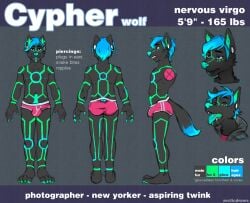 2015 anthro arcticorange biped bulge clothed clothing cypher_(diaperedglowwolf) digital_drawing_(artwork) digital_media_(artwork) dipstick_tail english_text fur hair hoodie male markings model_sheet simple_background solo standing tail_markings text topwear