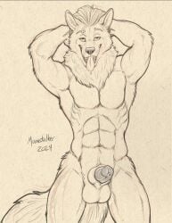 abs anthro balls bedroom_eyes canid canine canis erection genitals hi_res looking_at_viewer male male_focus male_only mammal monochrome muscular muscular_anthro muscular_male narrowed_eyes penis richard_foley seductive sepia solo solo_male tongue tongue_out wold wolf