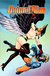 animal_man brian_bolland dc edit hawkgirl kendra_saunders photoshop tagme