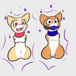 amputee anthro ball_gag bondage bondage bound canid canine canis disability domestic_dog duo female forced gag herding_dog hi_res living_onahole male mammal pastoral_dog penetrable_sex_toy quadruple_amputee sex_toy sleepyly surprise transformation welsh_corgi