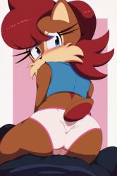 anthro archie_comics ass blush chipmunk clothing euf-dreamer female ground_squirrel hi_res looking_at_viewer looking_back mammal panties pink_clothing pink_panties pink_underwear rodent sally_acorn sciurid sega solo sonic_(series) sonic_the_hedgehog_(archie) sonic_the_hedgehog_(comics) sonic_the_hedgehog_(series) topwear underwear vest