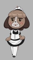 animal_crossing anthro blush bottomwear brown_body brown_fur brown_hair canid canine canis choker clothed clothing clothing_lift collar crossdressing curtsey digby_(animal_crossing) domestic_dog egg_vibrator footwear freckles fur grey_background hair happy_harvey hi_res jewelry legwear maid_headdress maid_uniform male mammal necklace nintendo open_mouth phone_drawing sex_toy shoes simple_background skirt skirt_lift socks solo thigh_highs uniform vibrator video_games white_clothing white_footwear white_socks