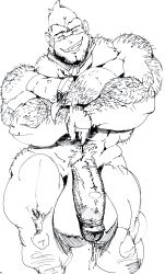 anthro balls bara big_balls big_penis bobert crossed_arms donkey_kong donkey_kong_(series) donkey_kong_country furry gay gorilla hairy male male_only monochrome muscles muscular nintendo penis sketch solo solo_male tie