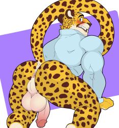 1boy anthro anus anus_focus ass ass_focus balls biceps big_butt big_tail blue_eyes blush cheetah clenched_teeth clothed clothing digital_media_(artwork) embarrassed felid feline fur gay genitals herzch1 hi_res humanoid_genitalia humanoid_penis looking_back male mammal markings muscular muscular_anthro muscular_male neck_tuft nude open_mouth pantsless penis presenting presenting_hindquarters randy_d_raccoon rear_view shirt simple_background solo solo_focus spots spotted_body spotted_fur spotted_markings spotted_tail spread_butt spreading tail_markings teeth teeth_showing thick_thighs topwear tuft yellow_body