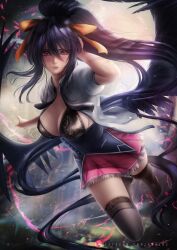 akeno himejima from high school dxd by axsens