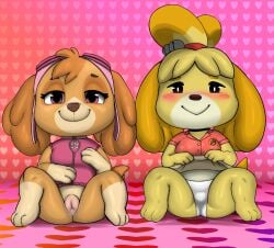 animal_crossing animal_genitalia animal_pussy anthro black_eyes blush canid canine canine_pussy canis clothed clothing diacordst domestic_dog duo female fur genitals isabelle_(animal_crossing) looking_at_viewer mammal nintendo paw_patrol pussy sitting skye_(paw_patrol) smile spread_legs spreading underwear video_games yellow_body yellow_fur