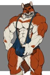 1boy 2022 5_fingers anthro big_bulge big_muscles brown_eyes brown_hair bulge canid canine clothing dhole fingers footwear fur hair hi_res huge_muscles humanoid_hands looking_at_viewer male mammal multicolored_body multicolored_fur muscular muscular_anthro muscular_male nipples oldshep pink_nipples red_body red_fur simple_background socks solo solo_male standing two_tone_body two_tone_fur white_body white_fur wrestling_singlet yellow_sclera