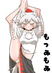 2022 animal_ears barefoot looking_at_viewer momiji_inubashiri panties red_eyes shimapan short_hair skirt striped_panties tagme tail thighs touhou upskirt vertical_splits white_hair wolf_ears wolf_girl wolf_tail yellow_panties zannnenn1