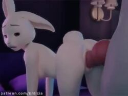 1boy 1boy1girl 1girls 3d 3d_animation 3d_model anthro_on_anthro anthro_penetrating_anthro beastars big_dom_small_sub bunny_girl doggy_style enticia_(artist) female flirtyfawn696 fucked_from_behind fucked_into_submission fucked_senseless fucked_silly furry furry_ass furry_female furry_male furry_only haru_(beastars) huge_cock knot knot_fucking knotted_penis larger_male legoshi_(beastars) loop looping_animation male moan moaning moaning_in_pleasure petite plap_(sound) pleasure_face rough_sex sfx size_difference sound sound_edit sound_effects sound_warning tagme thrusting thrusting_into_pussy torogao vaginal_insertion vaginal_penetration vaginal_sex video voice voice_acted wolf_boy