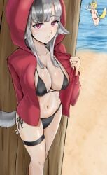 2girls 
 alternate_costume animal_ears beach bikini black_bikini black_hair black_swimsuit blonde_hair breasts cat_neko_cat1 chibi cleavage female female_only fire_emblem fire_emblem_fates fox_ears fox_girl fox_tail grey_hair hood hood_up hooded_jacket hoodie jacket large_breasts long_hair looking_at_viewer multicolored_hair multiple_girls navel nintendo open_clothes open_jacket outdoors presenting purple_eyes red_bikini red_eyes red_hair red_swimsuit sand selkie_(fire_emblem) short_hair small_breasts solo_focus stomach streaked_hair sweat swimsuit swingers tail velouria_(fire_emblem) water wolf_ears wolf_girl wolf_tail