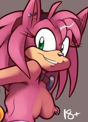 amy_rose anthro beige_skin breasts color female female_only furry hedgehog huge_eyes mel_the_hybrid nipple_piercing nipples pink_fur smile solo sonic_(series) sonic_the_hedgehog_(series) toony