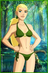 1girls artemis_crock bikini cartoongirls dc_comics green_bikini swimsuit young_justice