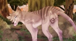 alyx_(barndog) animal_genitalia animal_pussy anus barndog blep blush canine_pussy dasyuromorph dripping_pussy female feral forest genitals hi_res mammal marsupial plant pussy rear_view smile smirk solo thylacine tongue tongue_out tree