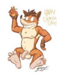 1boy crash_(series) crash_bandicoot crash_bandicoot_(series) fingerless_gloves fruit furry grin male male_only naked orange_fur simple_background skoogers solo video_games white_background wumpa_fruit