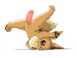 animal_genitalia animal_penis brown_body brown_eyes brown_fur eevee fur genitals hi_res k1ko male nintendo one_eye_closed penis pokémon_(species) pokemon pokemon_(species) simple_background solo video_games white_background